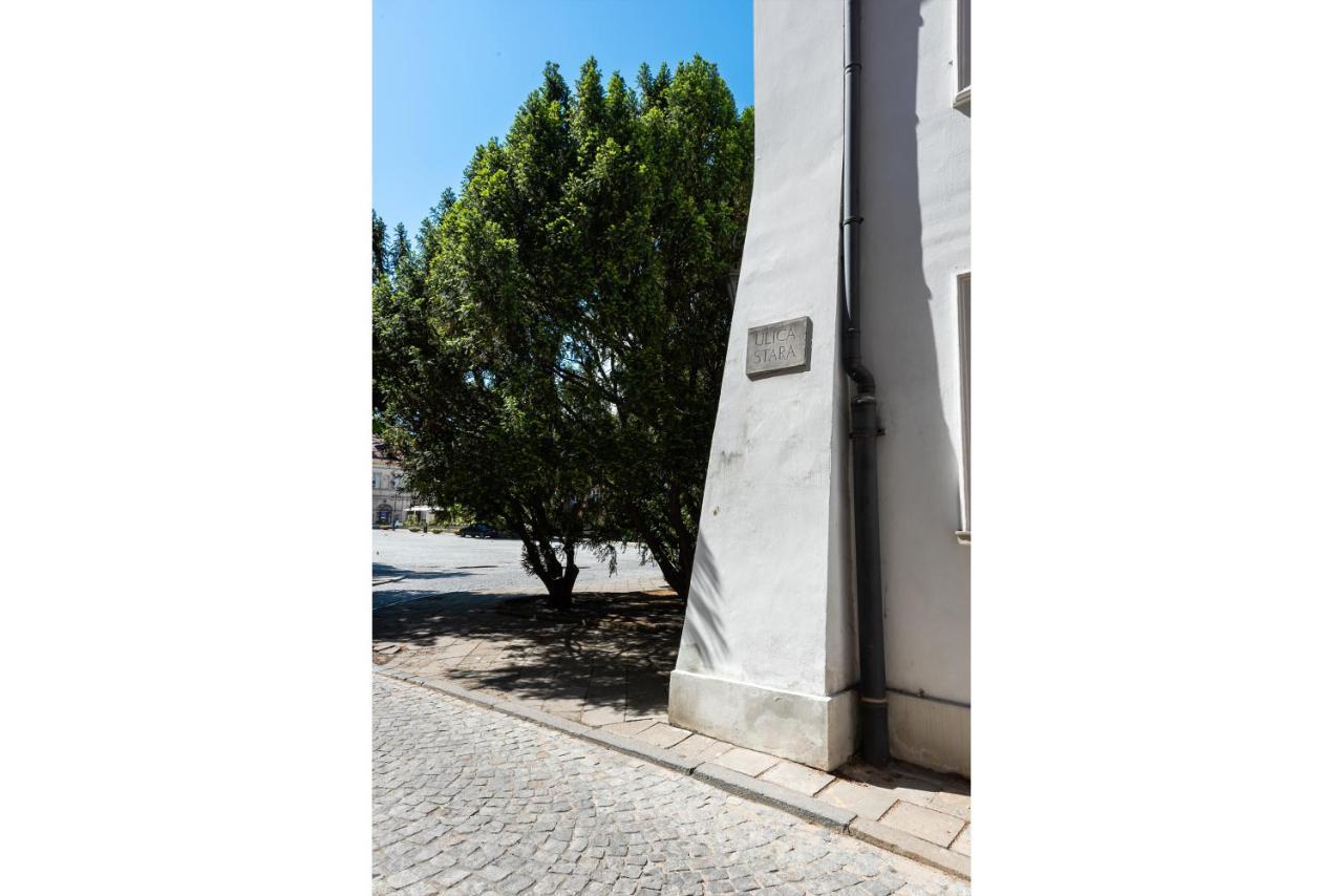 Comfortable Old Town Apartment Warschau Buitenkant foto